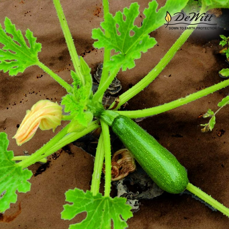 Sandbaggy Biodegradable Landscape Fabric - Garden Paper For Weeds