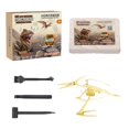thumbnail image 3 of figatia Animals Skeleton Archaeological Excavation Toys Early Developemental DIY Digging F, 3 of 9