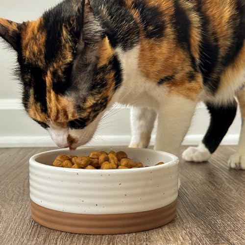 Ceramic Pet Bowl Size Small - Food/Water Dish for Puppy Dogs, Cats, Guinea Pig, Rabbit, Hamster, Snake, ect. 11oz or 2 Cups - Basic Bowls for Your Dog or Cat, Mix and Match for a Set - Vanillla