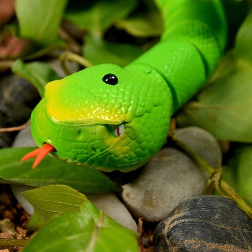 PlayWorld Realistic RC Snake With Egg Shaped Controller (Green)