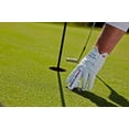 thumbnail image 3 of JEW The Bird Gant de Golf pour Hommes en Cuir Cabretta, Blanc, 3 of 8