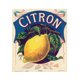 thumbnail image 1 of Wdftyju 5D DIY Retro Limón Completo Redondo Diamante Pintura Imagen Arte Artesanía (A) Wdftyju 6sf3wm5nu9al5xq4D01, 1 of 9