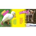 thumbnail image 4 of Ripley's Fun Facts & Silly Stories 1 (Book #1 of Fun Facts) By Ripley's Believe It Or Not!, 4 of 7