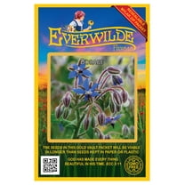 Everwilde Farms - 150 Borage Herb Seeds - Gold Vault Jumbo Bulk Seed Packet