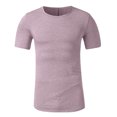 thumbnail image 2 of Men's Crew Neck Muscle Workout Athletic T-Shirt Bodybuilding Fashion Short Sleeve Slim Fit Zipper Tee Top 2025 Casual Solid Color Big and Tall Shirts Basic Classic Hip Hop T-Shirt, Gray XL, 2 of 4