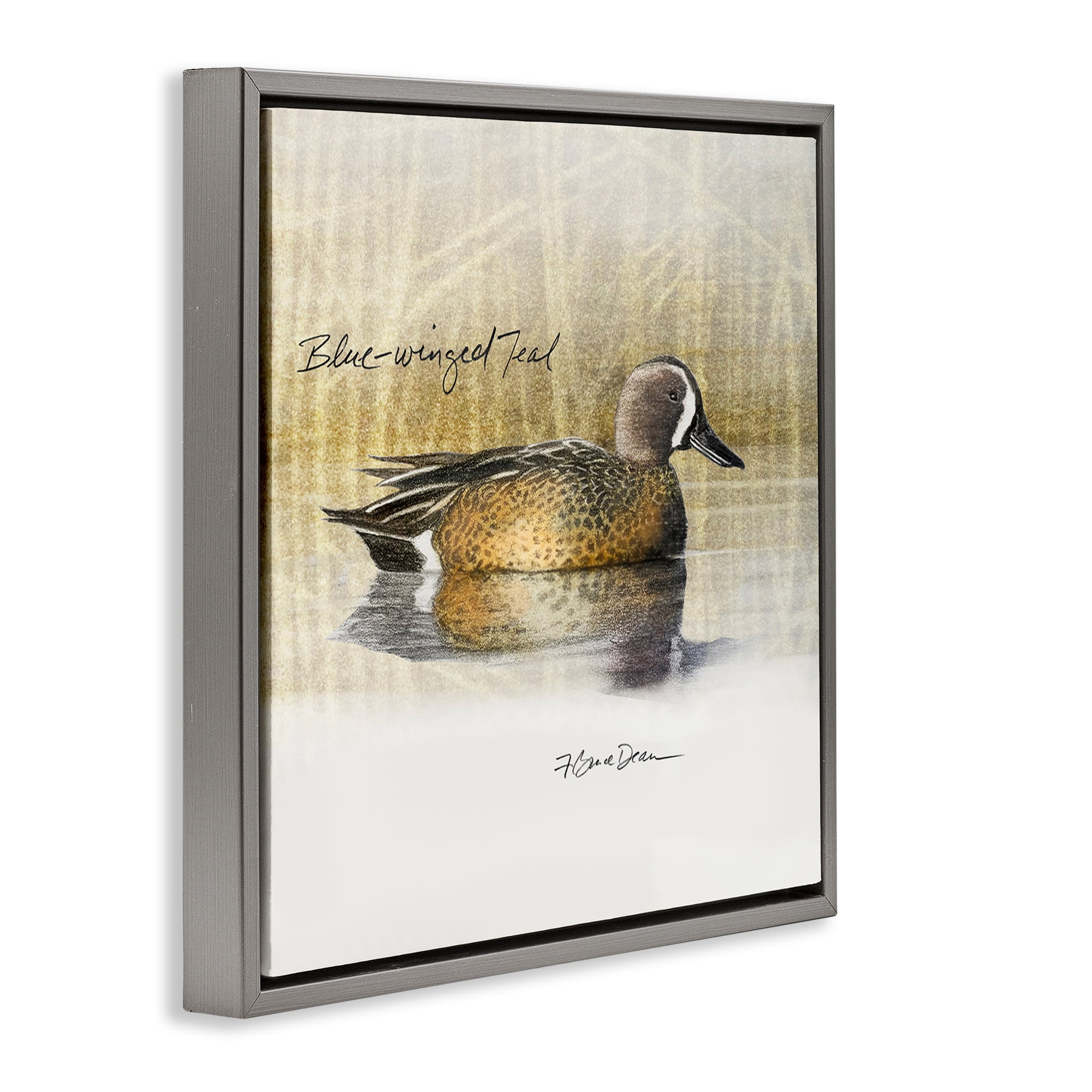 Stupell Industries Blue Winged Teal Duck Animals Painting Gray Floater Framed Canvas Art Print Wall Art, 25 x 25