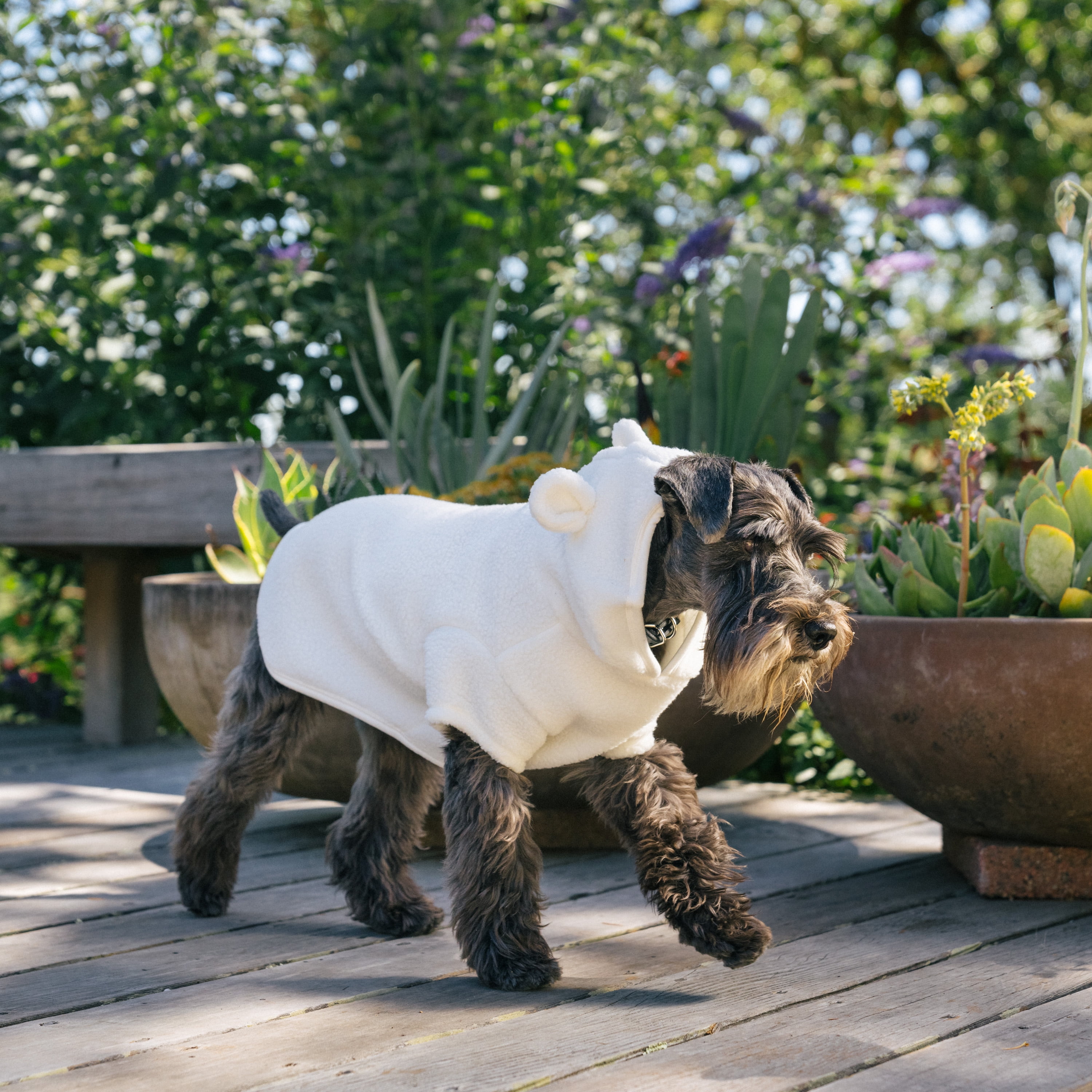 Gap Pet, Dog Clothes, Recycled White Sherpa Bear Ear Pet Hoodie