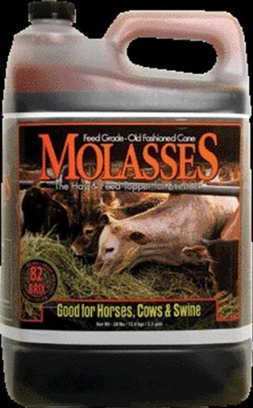 Molasses Livestock