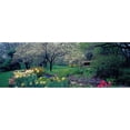 thumbnail image 3 of Berenholtz, Richard 14x7 Black Modern Framed Museum Art Print Titled - Country garden Old Westbury Gardens Long Island, 3 of 5