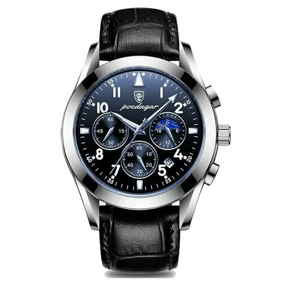 POEDAGAR Men Watch Top Brand Luxury Automatic Mechanical Watches Waterproof Luminous Business Stainless Stain Men's Wristwatch