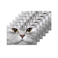 thumbnail image 4 of MKHERT Cute Animal Persian Cat Face Close-Up Placemats Table Mats for Dining Room Kitchen Table Decoration 12x18 inch,Set of 6, 4 of 4