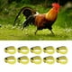thumbnail image 4 of Banda Para El Cuello De Gallo, Collar De Gallo Antigancho De Material De Nailon Anticuervo Para Suministros De Pollo Para Mascotas, 4 of 7