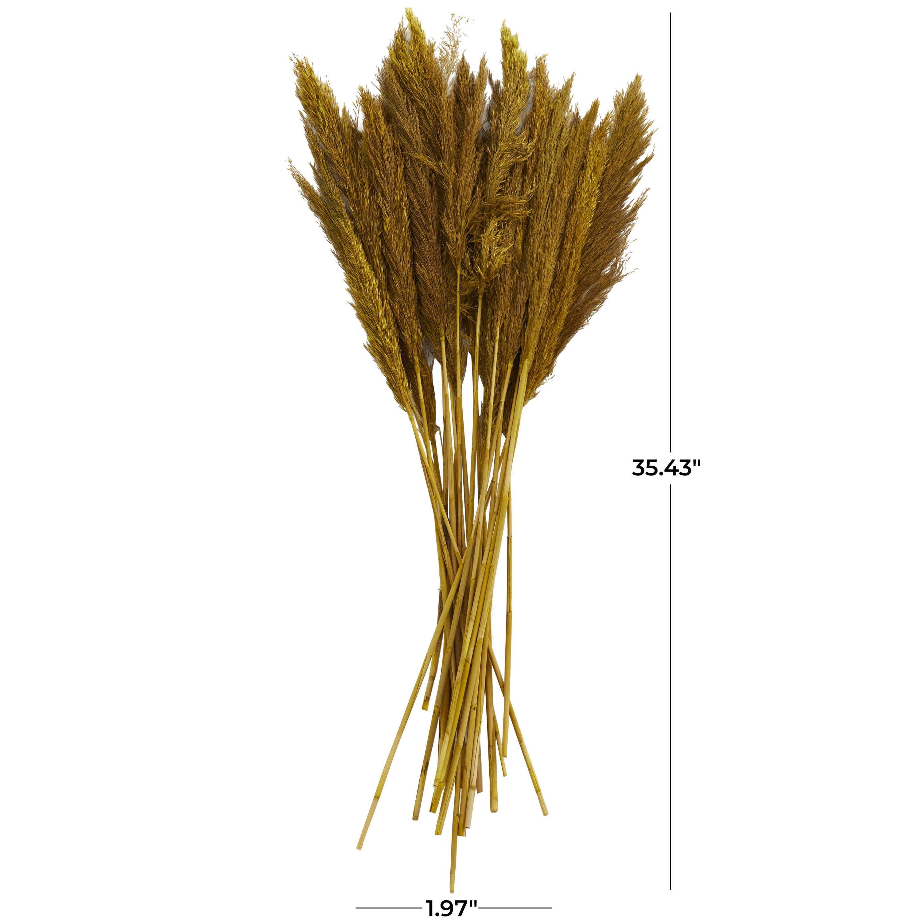 35" Dried Plant Natural Foliage Pampas Bouquet with Long Stems, by DecMode