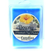 TWO PACKS OF Downy (Type)  3.4 Ounce Pack of Soy Wax Tarts / Melts