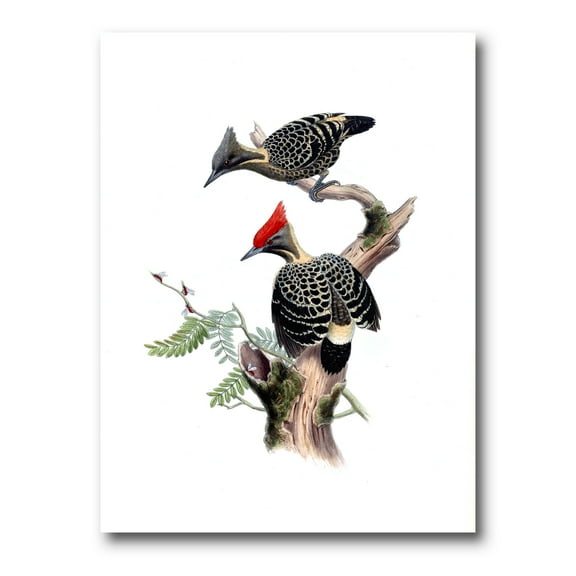 Designart ' Ancient Birds In The Wild VI ' Traditional Canvas Wall Art Print