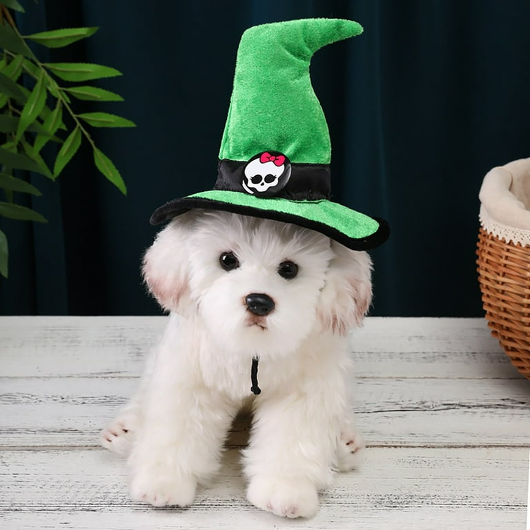 Catch dawg hats 2025