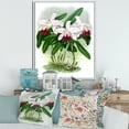 thumbnail image 2 of Designart 'White Vintage Orchid Flower I' Traditional Framed Canvas Wall Art Print, 2 of 5