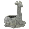 thumbnail image 1 of Northlight Jardinière Extérieure Grise 16 Pouces Girafe avec Siège, 1 of 6