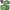 Green-Dinosaur, variant on Gofunly Kids Camera, 1080P Toy Digital Video Camera for Girls 3-12 Years Best Birthday/Festival Gifts,with 32GB SD Card and Silicone Cover - Green-Dinosaur