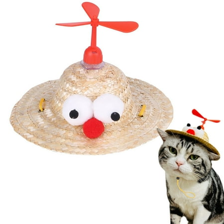 cat sun hat