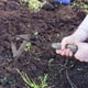 thumbnail image 1 of Herramienta para desherbar el jardín | Desherbador manual de acero con mango | Eliminador de malezas multifuncional para cardos, pasto de cangrejo y pamplina | Limpieza de jardines y granjas, 1 of 4