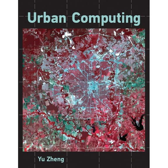 Information Systems Urban Computing, (Hardcover)