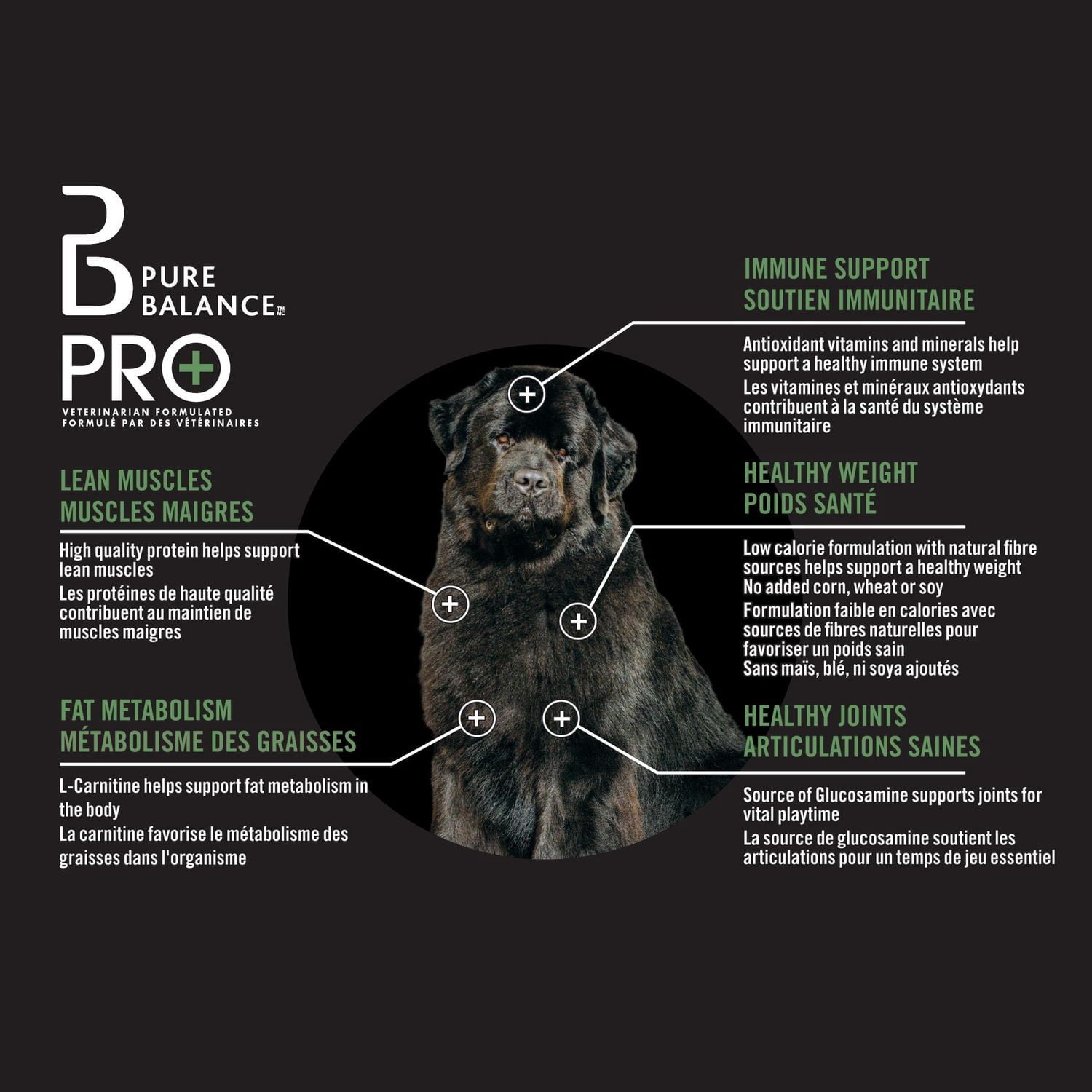 Pure Balance Pro+ Weight Management, Chicken & Oatmeal Recipe Dry Dog Food 3.5KG