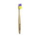 thumbnail image 1 of Cepillo Dental Doble Color .Sport Collection Cepillo Dental Ecológico Cerda Regular Mango de Bambú Doble Color, 1 of 1