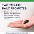 thumbnail image 3 of Metagenics PhytoMulti Multivitamin Without Iron-Daily Multi for Men & Women with 20+ Vitamins, Minerals & Phytonutrients for Antioxidant & Immune Support-Non-GMO, Gluten-Free - 30 Tablets, 3 of 7
