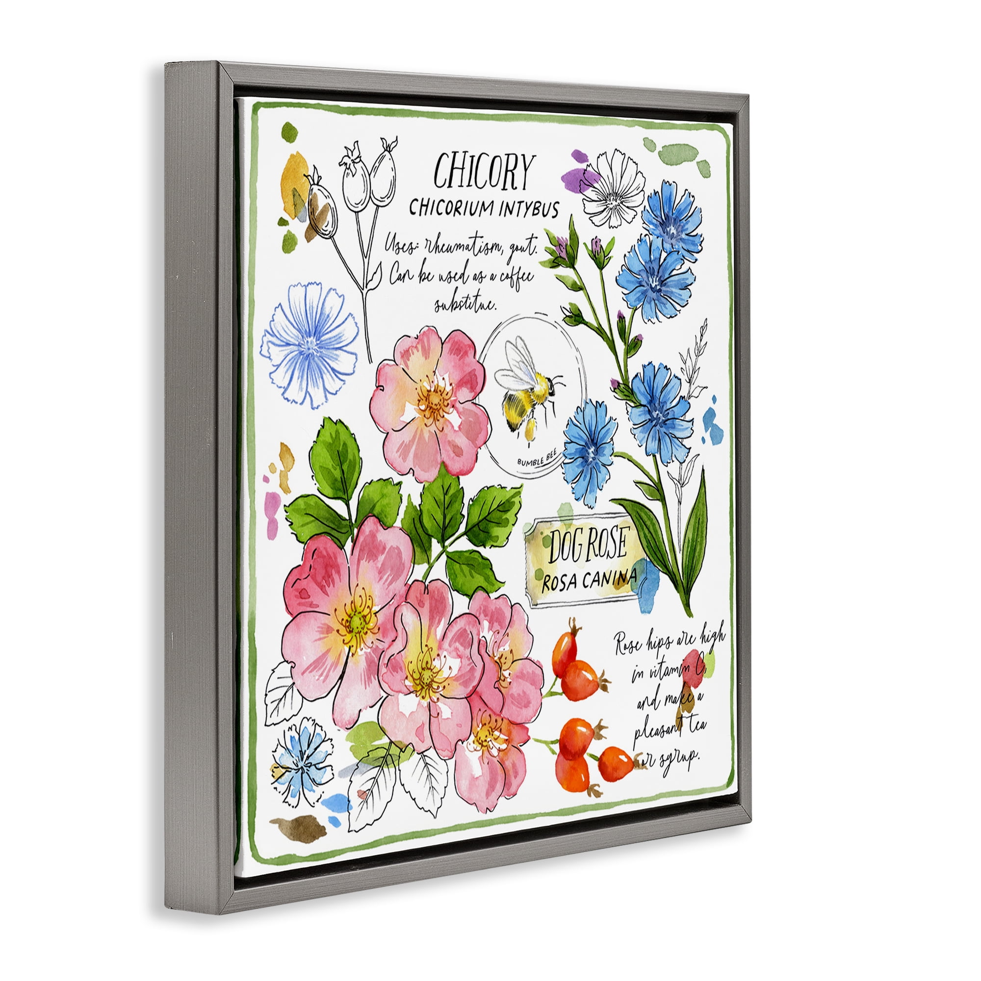 Stupell Industries Varied Herbs Benefits Plants & Flowers Painting Gray Floater Framed Canvas Art Print Wall Art, 25 x 25