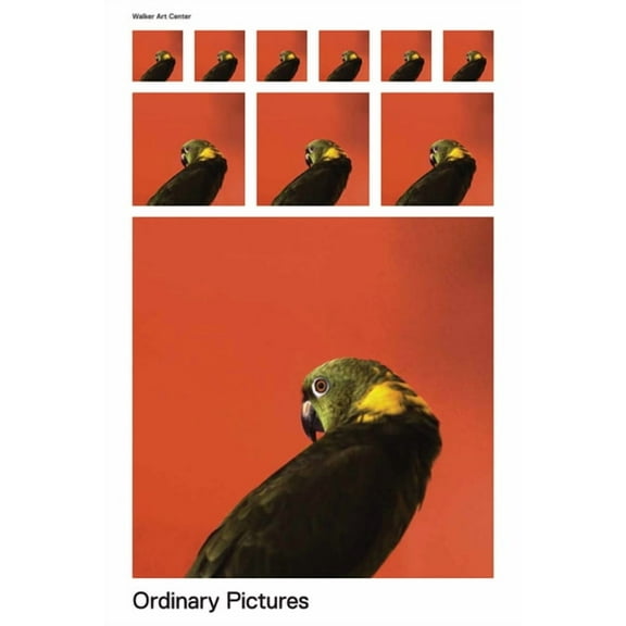 Ordinary Pictures, (Spiral-Bound)