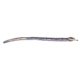 thumbnail image 4 of Aurora - X-Large Blue Snake - 52" Kusheez - Playful Stuffed Animal, 4 of 5