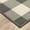 Gray/Ivory, variant on HomeRoots 2 x 4 ft. Gray & Ivory Gingham Indoor & Outdoor Area Rug - Gray Ivory - 2' x 4'