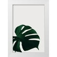 thumbnail image 1 of Artographie Studio 23x32 White Modern Wood Framed Museum Art Print Titled - Monstera Natural 08, 1 of 4