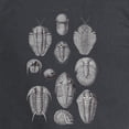 thumbnail image 3 of CafePress - TRILOBITES Long Sleeve Dark T Shirt - Long Sleeve Dark T-Shirt, 3 of 4