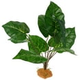 thumbnail image 2 of Reptile Hideout Plant Model Simulated Leaves Plant Decoration Reptile Tank Decorative Fake Plant, 2 of 8