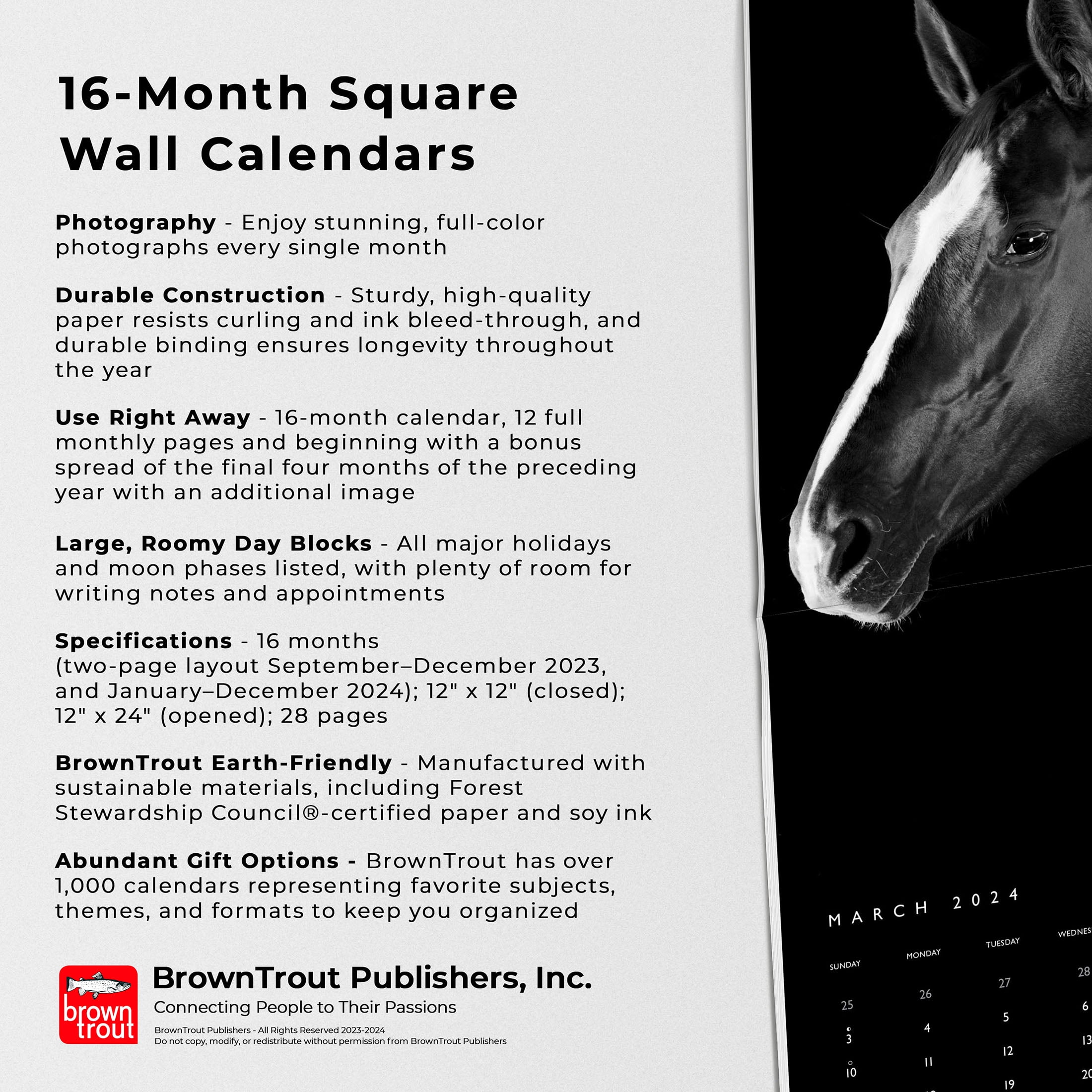 Horses Calendar 2024 Square Horses Wall Calendar 16 Month