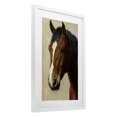 thumbnail image 2 of Stupell Industries Rustic Lodge Beautiful Brown Horse Portrait White Framed Print Under Glass, 17 x 23, by Petals Prints Design, 2 of 8