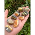 thumbnail image 4 of Bumble Bee Jasper Tumbled Stones, Polished Bumble Bee Jasper Gemstone, Bumble Bee Jasper Healing Crystals (Bumble Bee Jasper, 0.25 Pound), 4 of 8