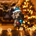 thumbnail image 5 of KCEHTA Dachshund Christmas Ornaments, Dog Ornaments for Christmas Tree, Dachshund Christmas Decor, Cute 2D Acrylic Dachshund Dog Christmas Tree Hanging Ornaments for Home Party, 5 of 6