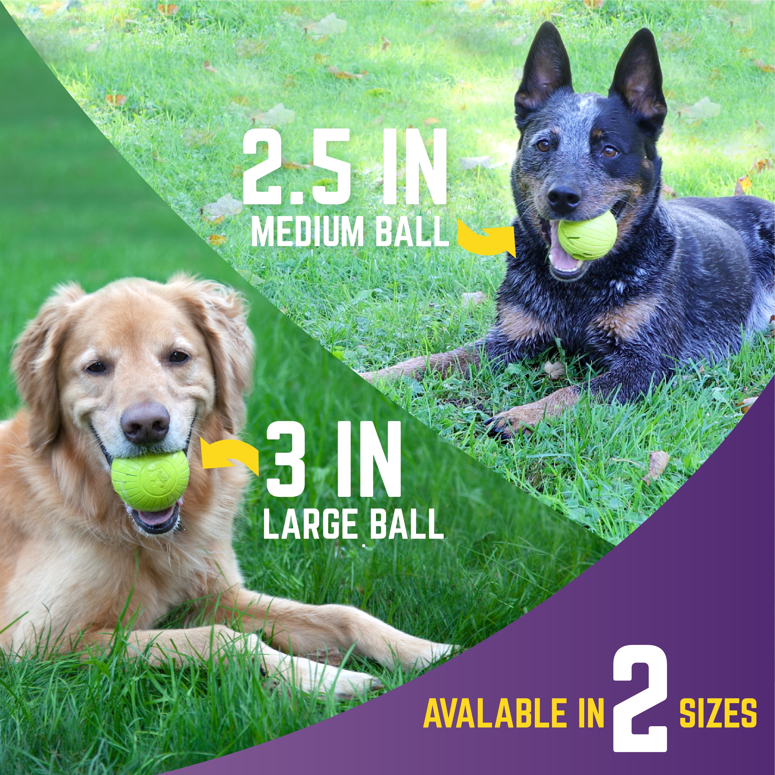 Chew King by Mammoth Supreme Extra Large Natural Rubber Dog Fetch Balls, Extra Durable 2.5” Dog Toy Balls, 2-Pack