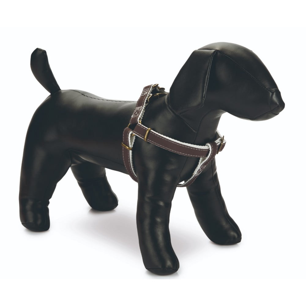 Beeztees Designed By Lotte Nylon Virante Dog Harness Walmart Canada