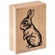 thumbnail image 1 of Sello de Madera Inkadinkado Baby Bunny para Tarjetas de Pascua y Álbumes de Recortes 2.25 W x 1.75 L, 1 of 1