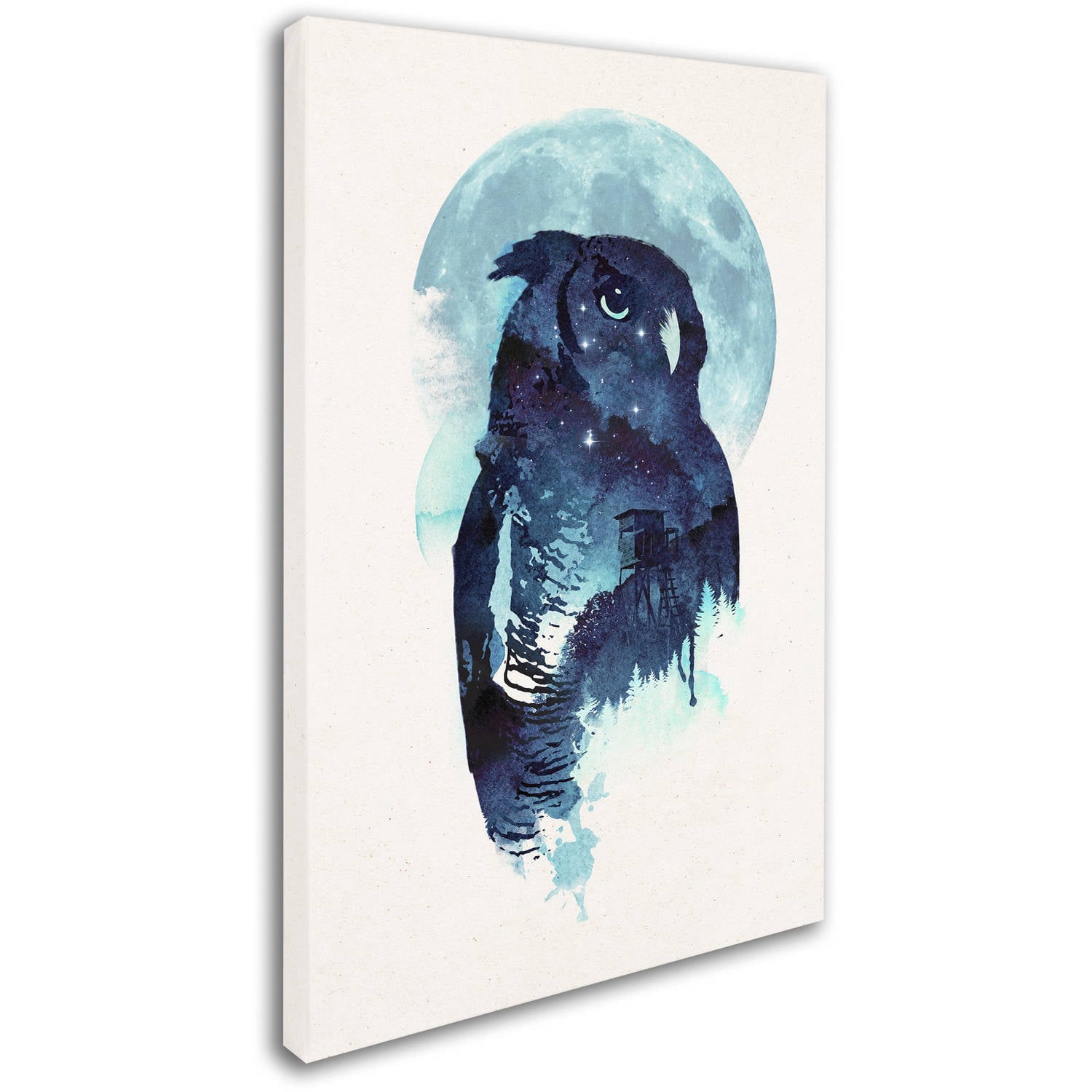 Trademark Fine Art 'Midnight Owl' Canvas Art by Robert Farkas
