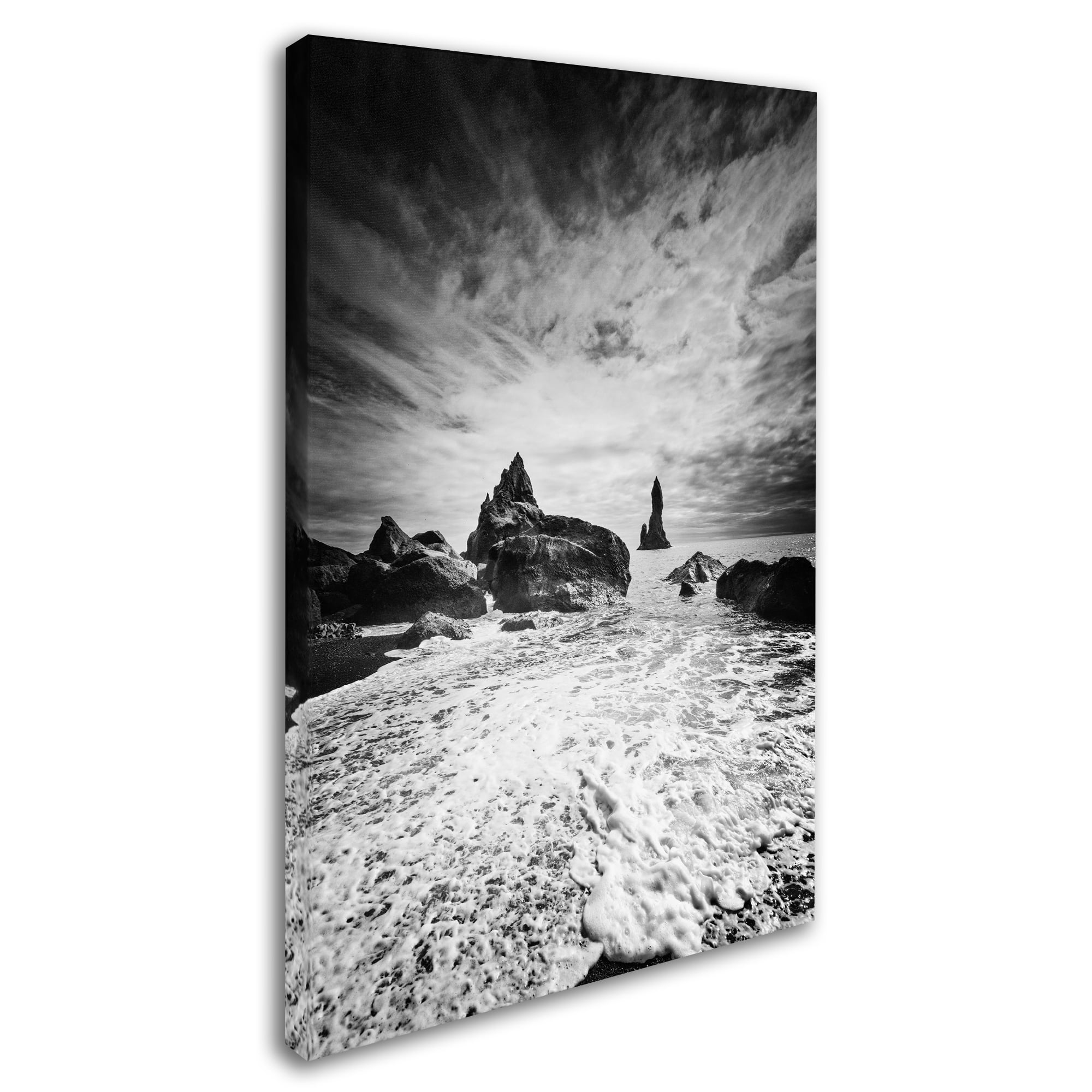Trademark Fine Art 'Black Tip' Canvas Art by Philippe Sainte-Laudy