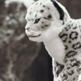 thumbnail image 6 of Snow Leopard Stuffed Animals Plush Toy, Stuffed Snow Leopard Plush White Leopard Plushies, Realistic Stuffed Animals, 6 of 7