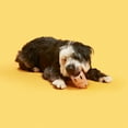 thumbnail image 2 of Peps Pet Toy Natural Rubber Solo Play Ball Blush, 2 of 5