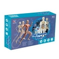 thumbnail image 3 of Aqestyerly Human Body Torso Model For Kid Anatomy Model Scientific Anatomical Human Model With Removable Parts Diy Toys Children Early Learning Toys Toys And Hobbies, 3 of 9