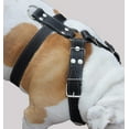 thumbnail image 3 of Black Genuine Leather Dog Harness, Large to XLarge. 33"-37" Chest, 1.5" Wide Straps, 3 of 3