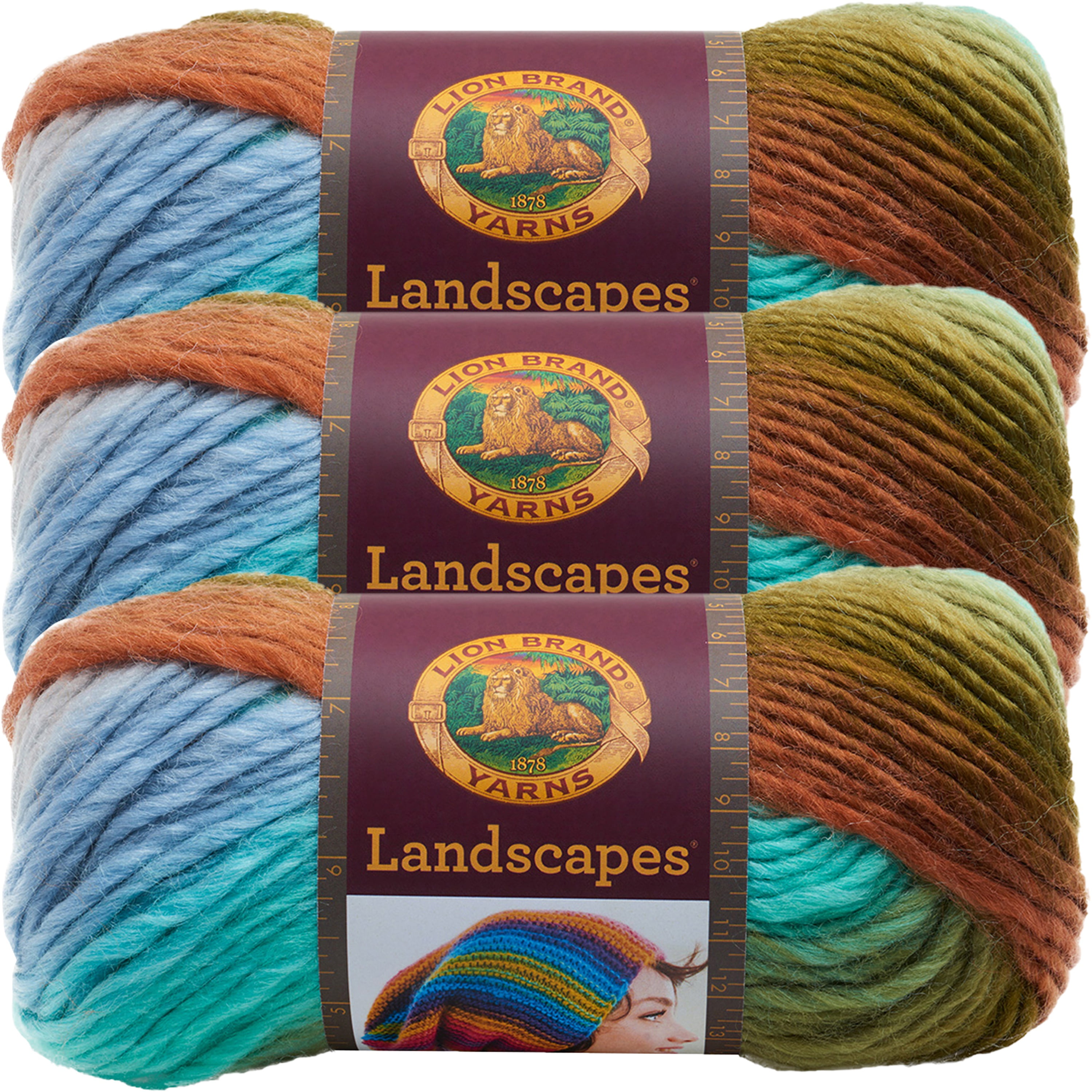 Lion Brand Landscapes YarnMeadow, Multipack Of 3